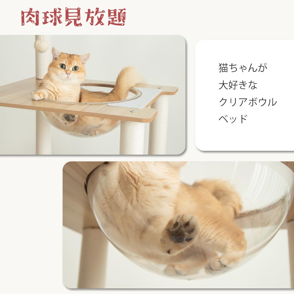 Amazon | 【なになにLife】 キャットタワー 木製 据え置き 大型